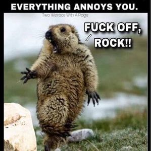 Meet your Posher, Trish